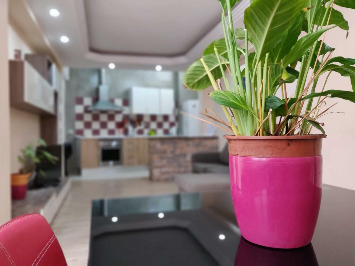 Cactus Los Cristianos Villa Los Cristianos  Bagian luar foto