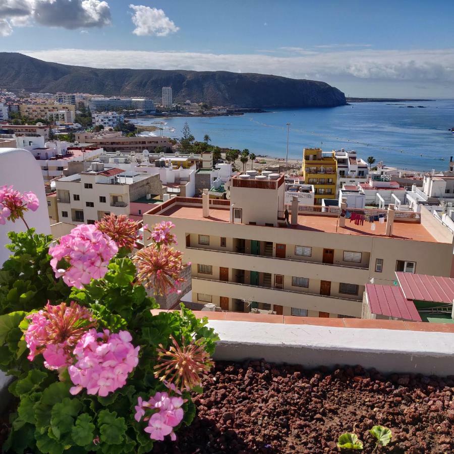 Cactus Los Cristianos Villa Los Cristianos  Bagian luar foto